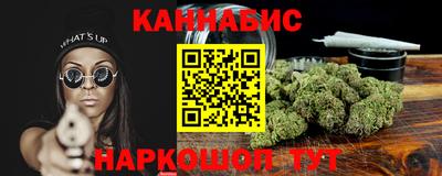 spice Гай
