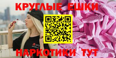 spice Гай