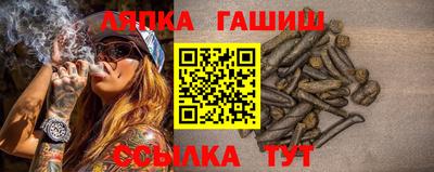 spice Гай