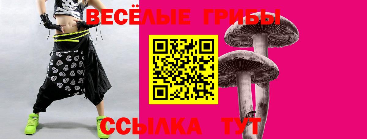 Наро-Фоминск  Псилоцибиновые грибы прущие грибы  Вход с VPN 